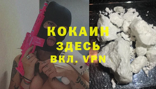 спайс Снежногорск