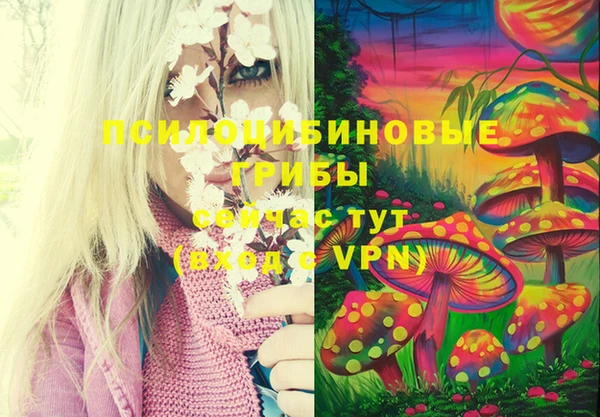 ECSTASY Снежинск