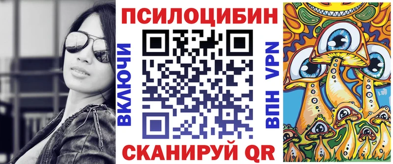 Купить  Щучье  Псилоцибиновые грибы Psilocybe 